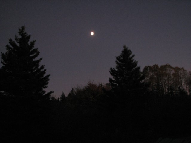 Moon Over Trees at Sunset View
